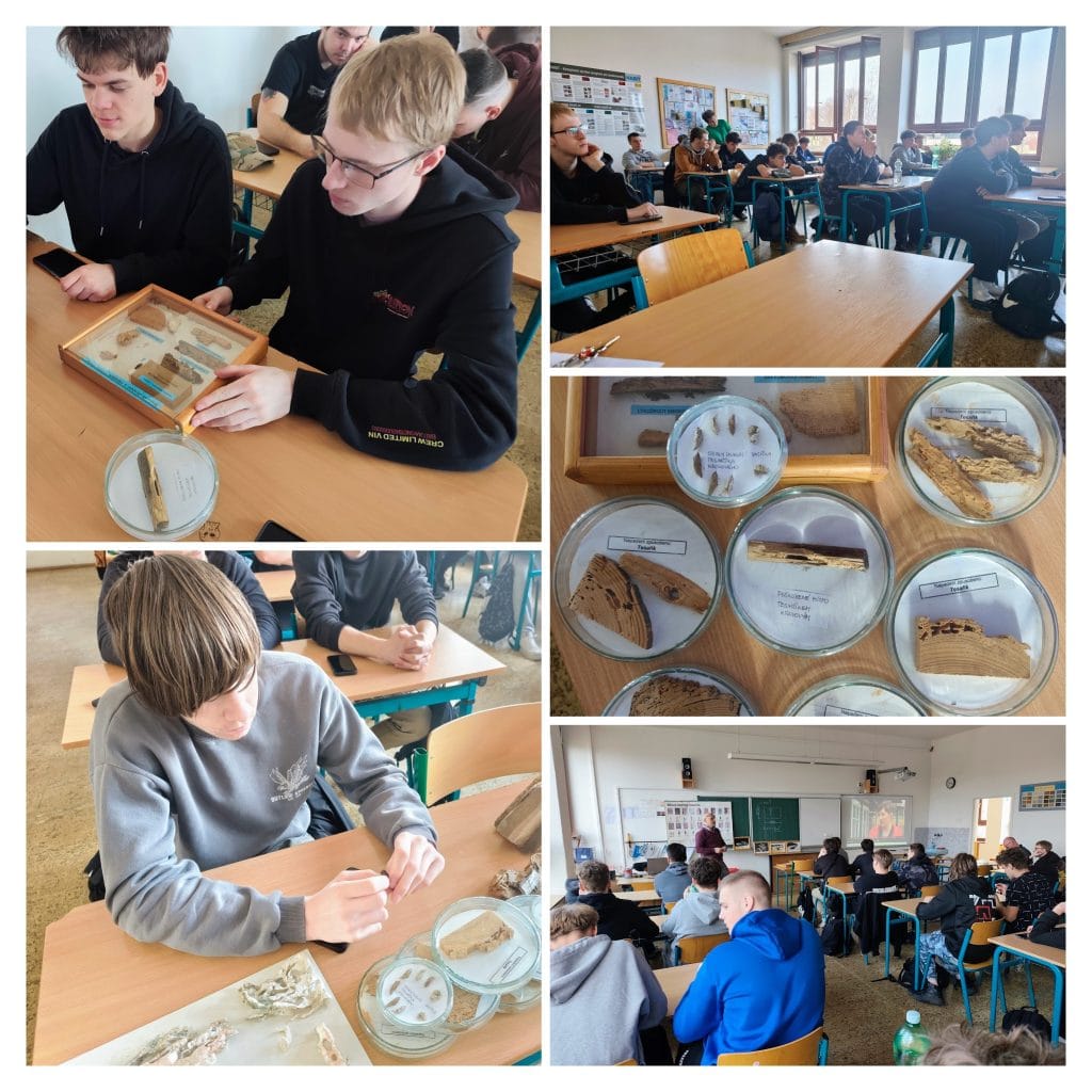 IMG 20260304 090959 COLLAGE | Střední odborné učiliště Stavební | Opava